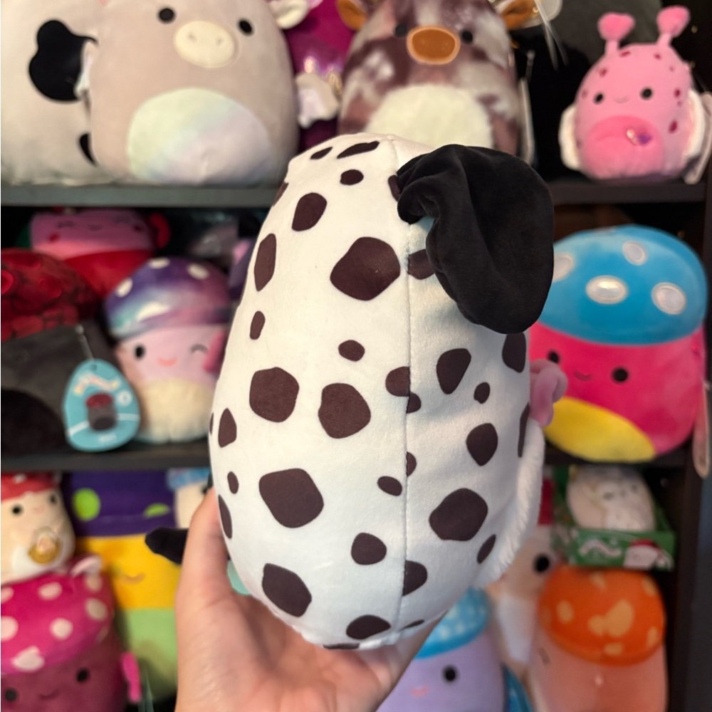 Dustin the dalmation dog squishmallow with pink bow tie 8in NWT - Picture 2 of 5